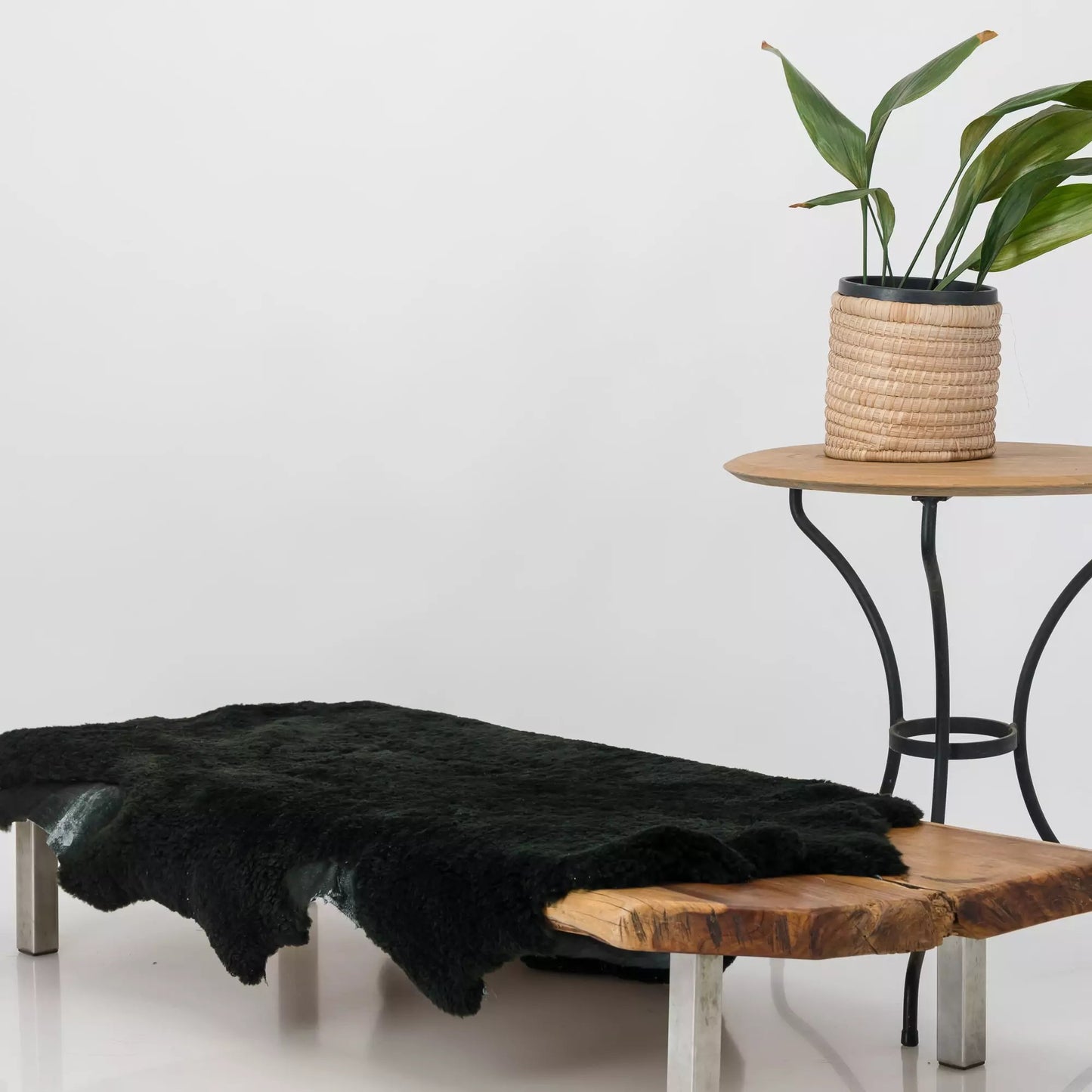 Black Sheepskin - A-grade South African Merino