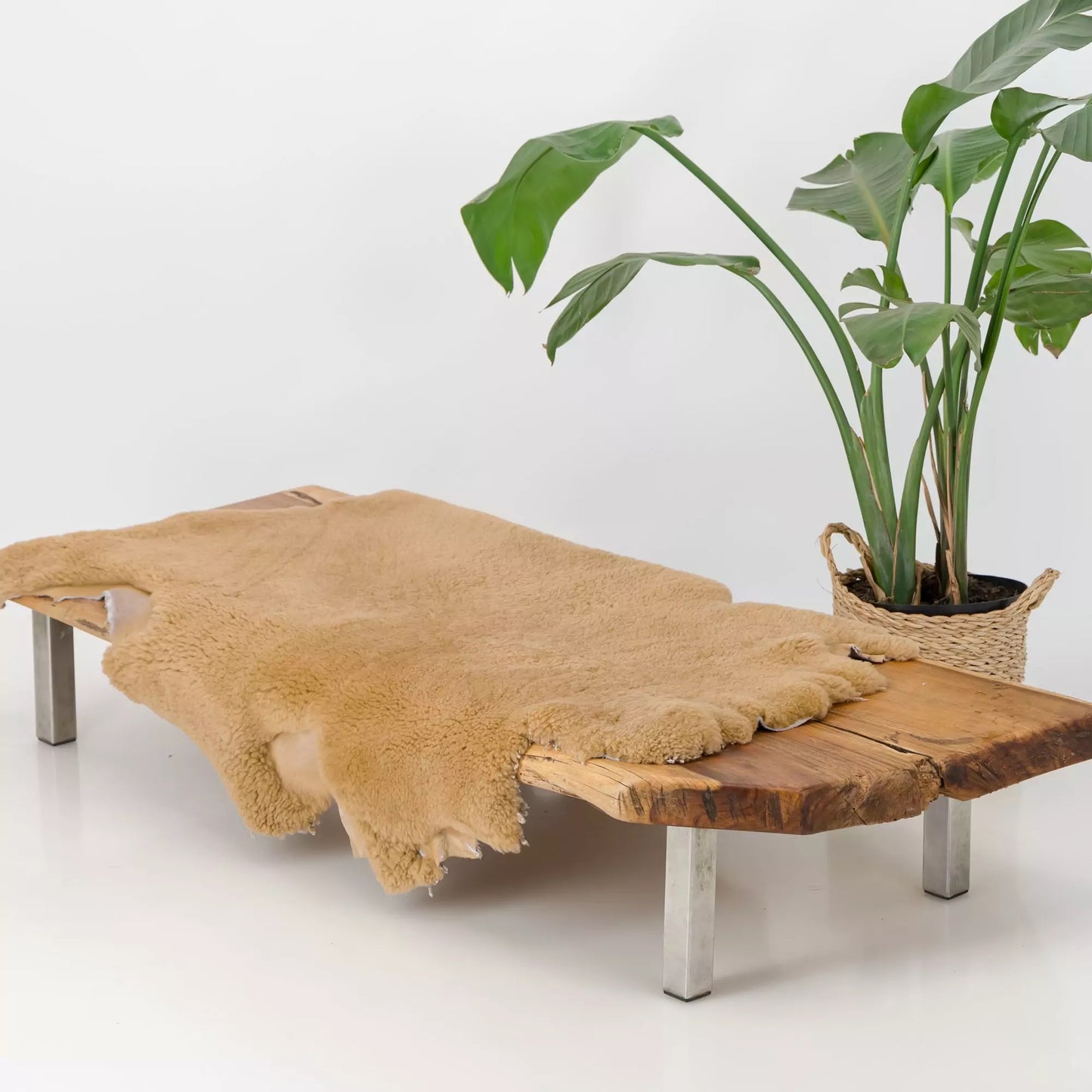 South African Merino Sheepskin